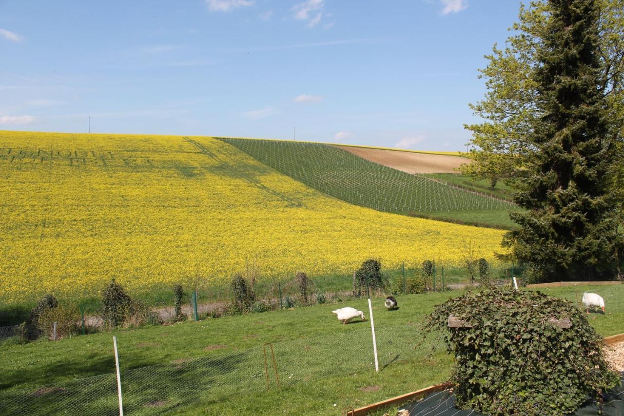 Happy & Relax Bed & Breakfast Mentque-Nortbecourt Exterior photo